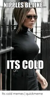 🐣 25+ Best Memes About Its Cold Meme Its Cold Memes