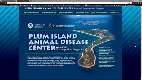 Plum Island power failure causes virus release during Hurric