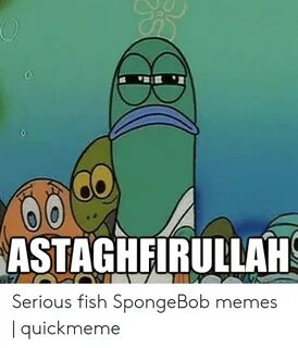 🐣 25+ Best Memes About Serious Fish Serious Fish Memes