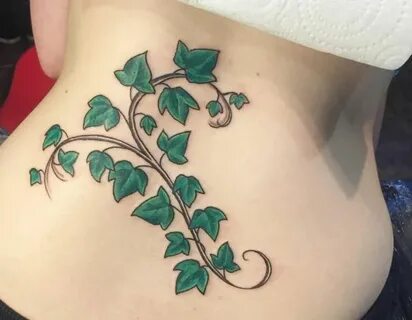 Ivy Tattoo - Its which means and 12 concepts - Nexttattoos