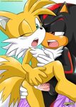 Xbooru - anthro bbmbbf furry miles "tails" prower millie tai