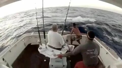 Fish Jumps Into Boat. .Man Jumps Out! Too Funny! - Comedy Vi