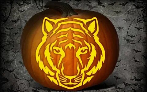 Pumpkin Carving - Fun animal designs and templates - Tiger -