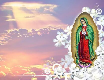 Fondos De La Virgen De Guadalupe posted by Sarah Tremblay