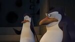 The.Penguins.of.Madagascar.S01.AMZN.1080p.WEBDL.DD2.0.H.264-