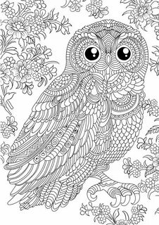 Owl coloring pages, Mandala coloring pages, Coloring pages