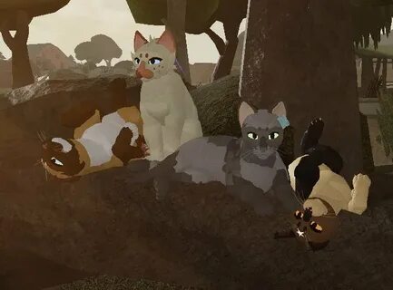 Warrior Cats Forest Territory Roblox Discord