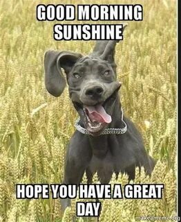 101 "Have a Great Day" Memes - "Good morning sunshine. Hope 