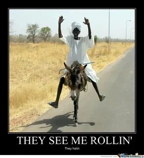 35 Most Funniest Donkey Meme Pictures And Photos