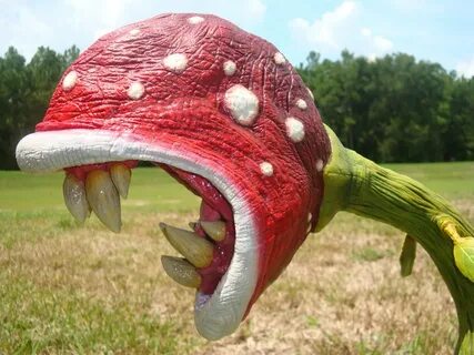 39 best ideas for coloring Piranha Plant Real Life