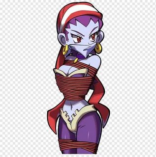Shantae: Half-Genie Hero Shantae: Risky's Revenge Shantae an