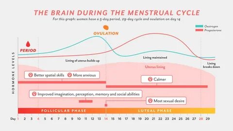 Menstrual cycle mapping: How women can improve their product