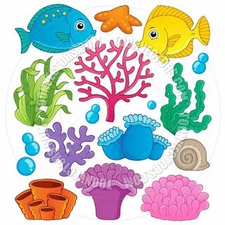 Coral Reef Drawing Cartoon