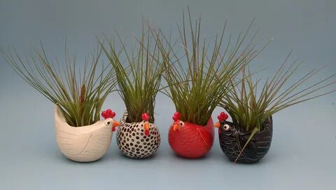 Large Chicken Planters Air Plants Succulents Chicken Lovers 