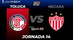 Toluca vs Necaxa in Liga MX Apertura