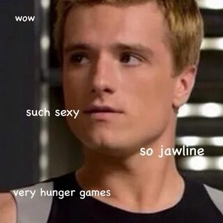 Peeta Doge Panem: Photo Hunger games memes, Hunger games hum