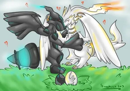 New Life +Reshiram and Zekrom+ - Weasyl