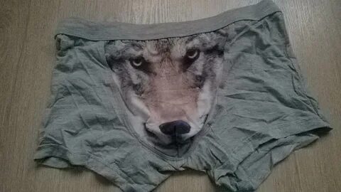 Мужчины боксер мультфильм 3d волк мужчины underwear модальны