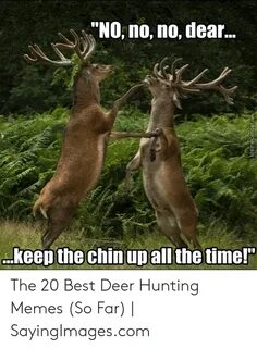 🐣 25+ Best Memes About Hunting Birthday Meme Hunting Birthda