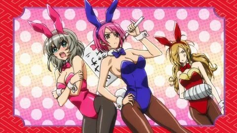 Ichiko, Ranmaru, and Momiji Bunny Suit Know Your Meme