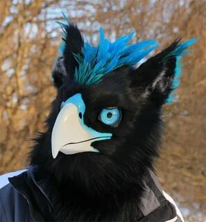 Fursuit, Bird masks, Anthro furry