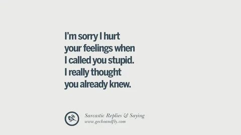 Funny Quotes About Stupidity : Stupid Funny Quotes Cool Funn