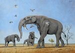 Эволюционная баллистика мамонтов: от хоботных до загадки гол