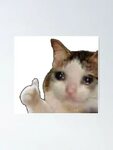 Sad Cat Thumbs Up Meme Png - andrewstevenwatson
