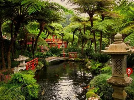 Классический японский сад с прудом - обои на телефон.