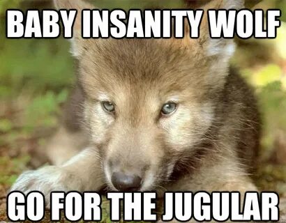 Wolf Memes