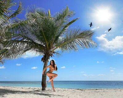 Картинка девушка, пальма, птицы 1280x1024 скачать обои на ра