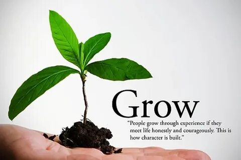 Growing Your Business Quotes. QuotesGram