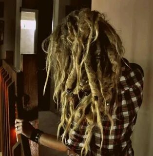 Pin by Charlotte Lewis on Dreads Blonde dreads, Natural drea