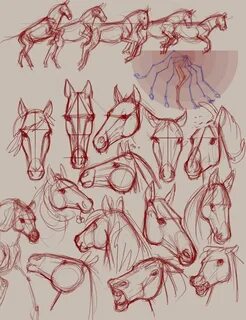 ЛОШАДИ! Horse sketch, Animal drawings, Drawings