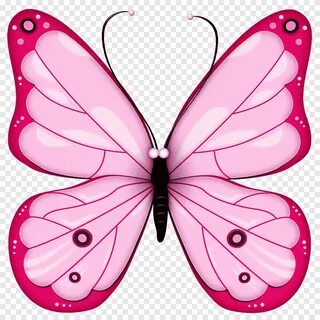 Бабочка бабочка, кисть Footed Butterfly, насекомые png PNGEg