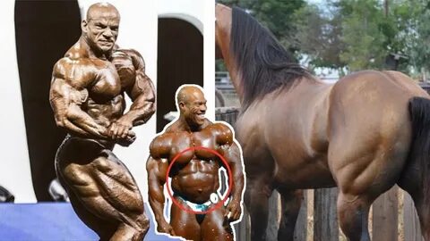 Big Ramy vs Horse! Phil Heath Bubble Gut Return Mr Olympia 2