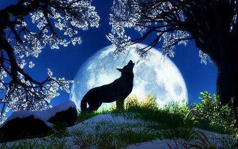 Full Moon Wolf Howling Animals beautiful, Wolf pictures, Wol