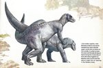 Love in the Time of Chasmosaurs: April 2012