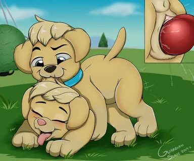 What breed of dog is tracker from paw patrol Rule34 - heanti