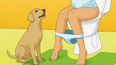 Das ist der Grund, wieso Hunde dir ins Badezimmer folgen! - 