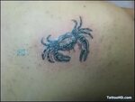 Blue Crab Tattoo On Body
