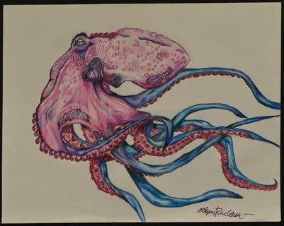 Realistic Squid Drawing at PaintingValley.com Explore collec