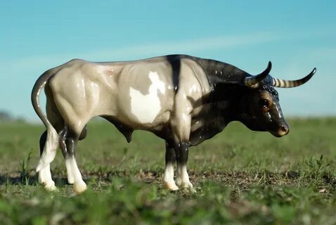 The handsome Breyer bull, BreyerFest SR Mequite. Gorgeous in