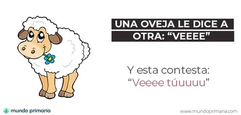 Chistes Cortos Para Niños De Primaria De Animales - Niños Re