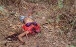 Young Lady Beheaded, Hand And Private Parts Cut Off In Ife,o