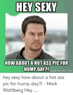 🐣 25+ Best Memes About Sexy Hump Day Memes Sexy Hump Day Mem