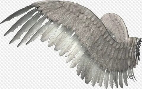 Clipart PNG - Big collection of wings (Part 1)