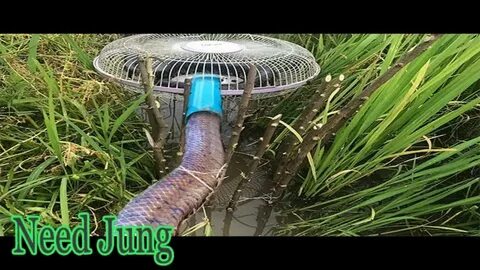 Best Water Snake Trap Using Electric Fan Guard With Water Pi