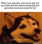 Happiness Noise Know Your Meme