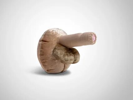 Penis groß mit offener Harnröhre - PAOMI Material zur Aufklä